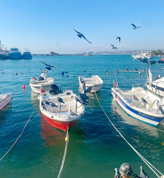 Silivri Limanı'nda kirlilik tespit edildi