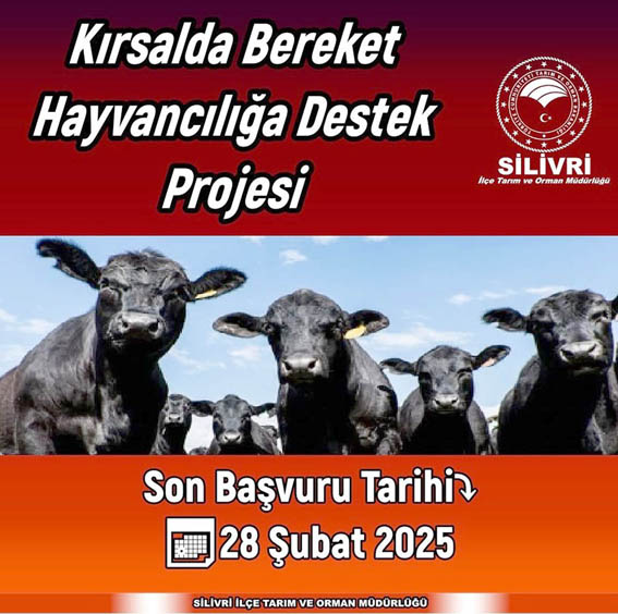 Kırsalda Bereket Hayvancılığa Destek Projesi başvuruları başladı