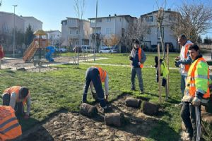 Silivri Belediyesi’nden park ve yeşil alanlarda çalışma