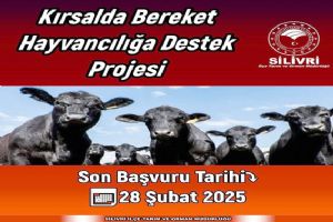 Kırsalda Bereket Hayvancılığa Destek Projesi başvuruları başladı