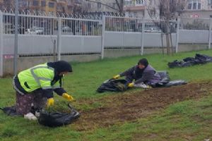 Silivri’de yeşil alanlarda bakım çalışmaları sürüyor Silivri’de yeşil alanlarda bakım çalışmaları sürüyor