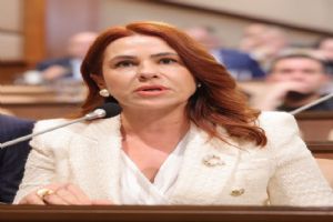 Sultan Aşkın’dan Deprem ve Ulaşım Vurgusu: “İstanbul’un kaderi mazeretlere terk edilemez”