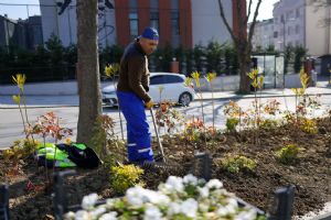 Silivri’de park ve yeşil alanlar bahara hazırlanıyor Silivri’de park ve yeşil alanlar bahara hazırlanıyor
