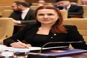 “Silivri Belediyesi’nde ortak akıl yok, günü kurtarma var” “Silivri Belediyesi’nde ortak akıl yok, günü kurtarma var”