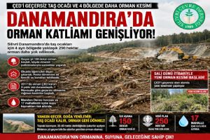 Silivri Danamandıra’da orman katliamı genişliyor Silivri Danamandıra’da orman katliamı genişliyor