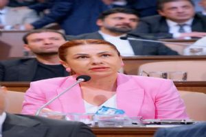 MHP Grubundan İBB’ye vektörle mücadele soruları MHP Grubundan İBB’ye vektörle mücadele soruları