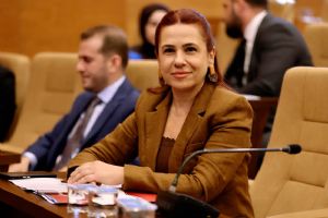 Silivri Belediye Meclisi MHP Grup Başkanvekili Aşkın’dan Araç Kiralama İhalesinde “makam aracı” uyarısı