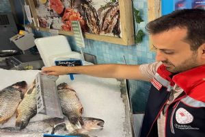 Silivri'de Su Ürünlerine sıkı denetim Silivri'de Su Ürünlerine sıkı denetim