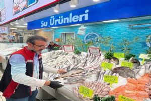 Silivri’de Su Ürünleri Satış Ve İşleme Noktalarına denetim Silivri’de Su Ürünleri Satış Ve İşleme Noktalarına denetim