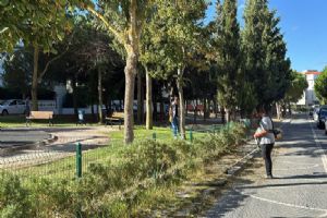 Silivri’de yeşil alanlarda bakım çalışmaları sürüyor Silivri’de yeşil alanlarda bakım çalışmaları sürüyor