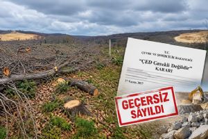 Silivri Danamandıra’da Taş Ocağı için ÇED kararı geçersiz sayıldı Silivri Danamandıra’da Taş Ocağı için ÇED kararı geçersiz sayıldı