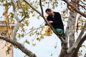 Gümüşyaka’da kuşlara yeni yuvalar Gümüşyaka’da kuşlara yeni yuvalar