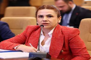 Silivri Seymen’de Metan tartışması mecliste: “Ölçümler açıklansın” Silivri Seymen’de Metan tartışması mecliste: “Ölçümler açıklansın”
