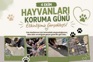 Silivri Tarım Lisesi öğrencilerinden sokak hayvanlarına anlamlı destek Silivri Tarım Lisesi öğrencilerinden sokak hayvanlarına anlamlı destek