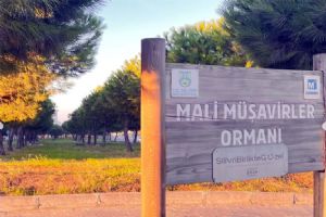 Silivri Mali Müşavirler Ormanı’nda 390 ağaç taşındı, İSMMMO’dan bilgilendirme tepkisi Silivri Mali Müşavirler Ormanı’nda 390 ağaç taşındı, İSMMMO’dan bilgilendirme tepkisi