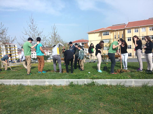 Toki Cumhuriyet Anadolu Lisesi çam dİktİ