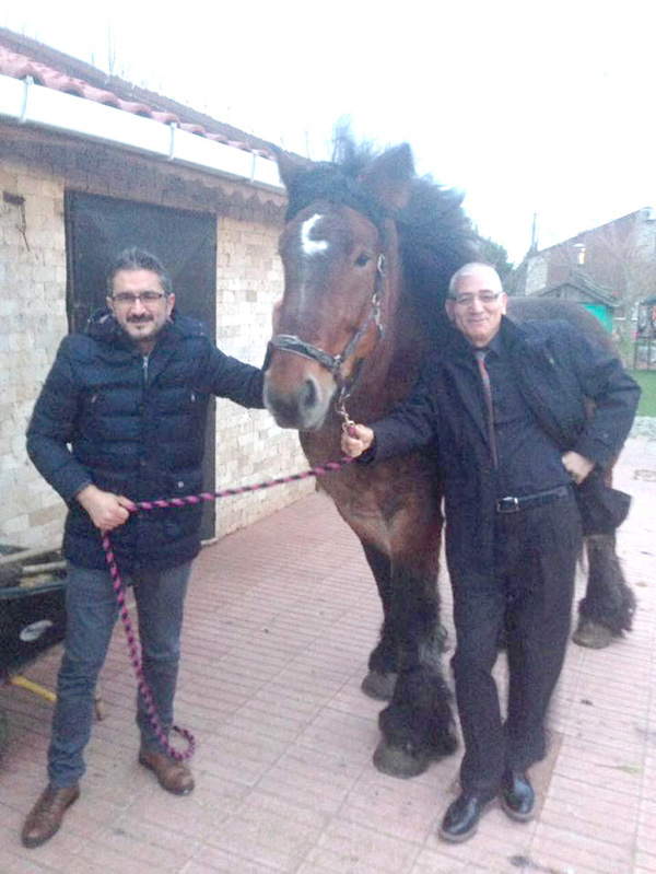 Çizgi Koleji’nden binicilik hazırlıkları