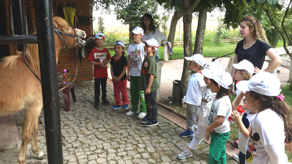 Eğitim Adası öğrencilerinin Yaz Okulu kareleri