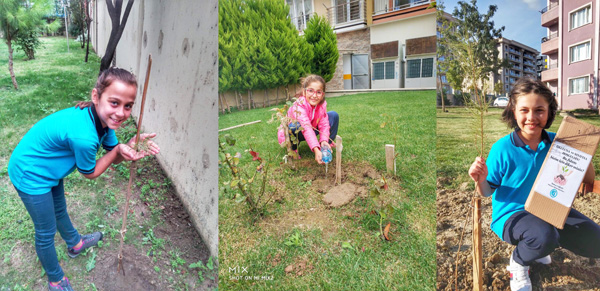 Öğretmen hediyesi fidanlar dikildi