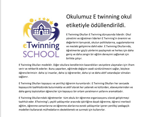 Ziylan Ortaokuluna eTwinning ödülü