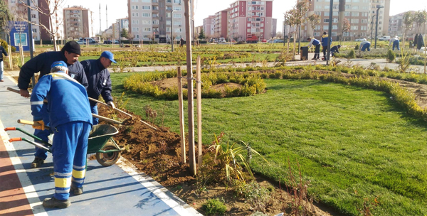 Şehir Parkı’nda çimlendirme çalışmaları tamamlandı