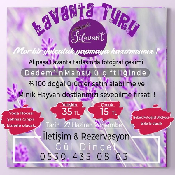 Silavant’tan lavanta turu