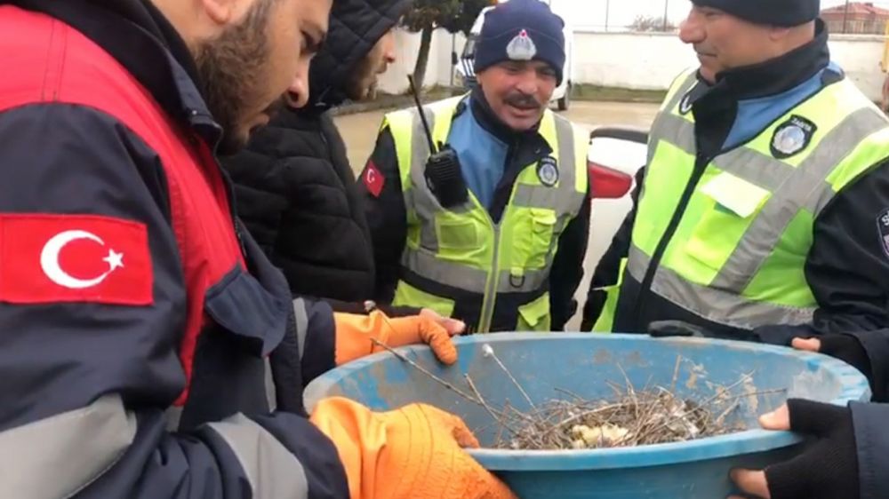 Belediye ekipleri iki yavru güvercini kurtardı