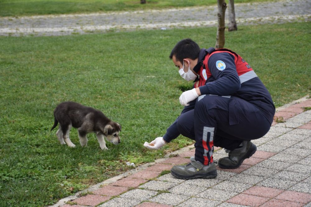 Sokaktaki canlar unutulmuyor