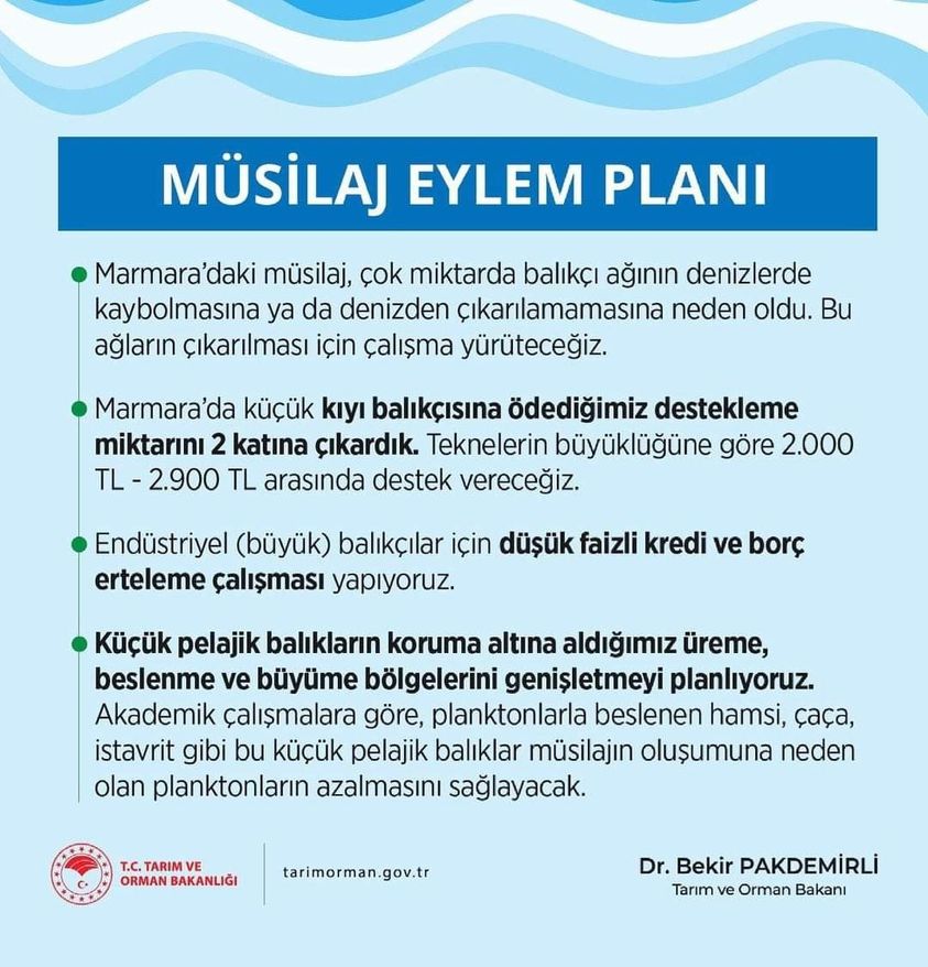 Müsilaj Eylem Planı