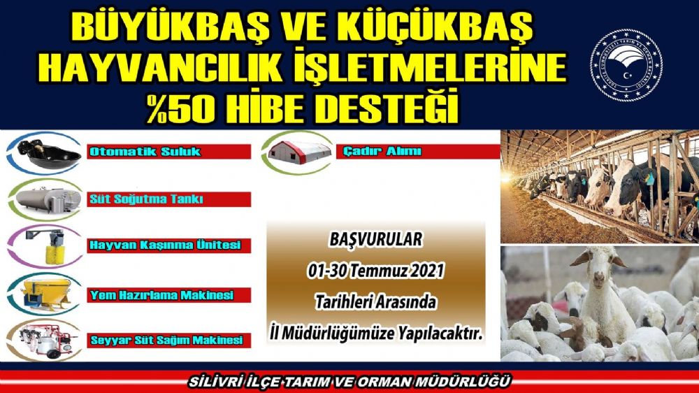 Büyükbaş ve Küçükbaş Hayvancılık yatırımları için %50 hibe desteğini kaçırmayın