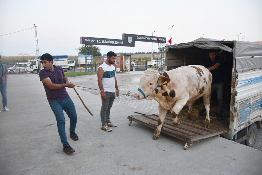 Canlı Hayvan Pazarına ilgi artıyor