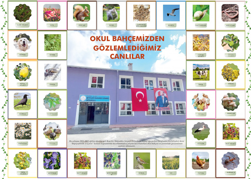 Beyciler öğrencilerinden Biyoçeşitlilik çalışması