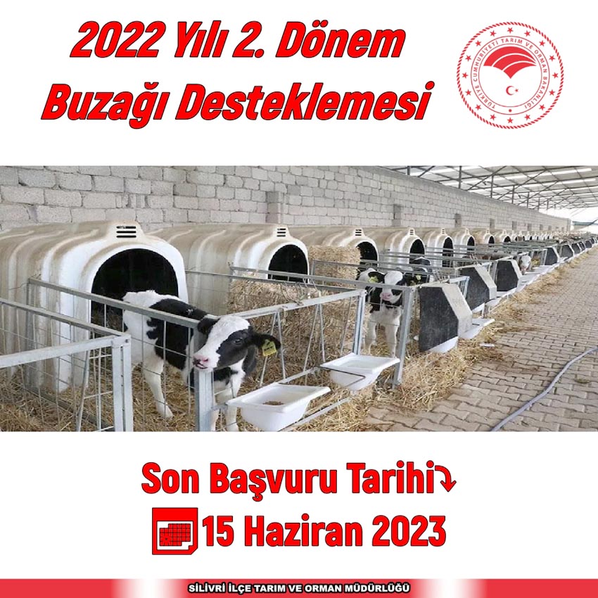 Buzağı Desteklemesi son başvuru tarihi 15 Haziran