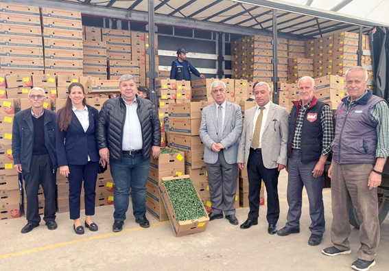 Ücretsiz Yazlık Sebze Fidesi Dağıtımları başladı