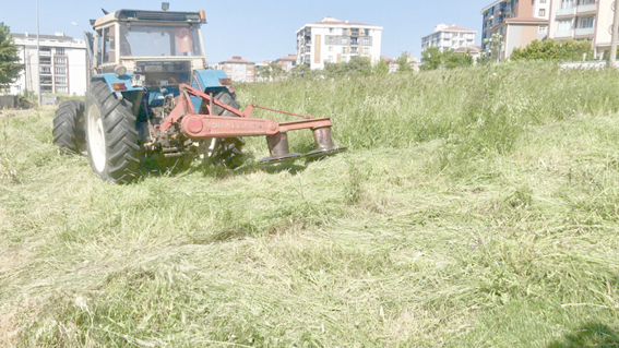 Silivri Belediyesi, yaz sezonuna hazırlanıyor