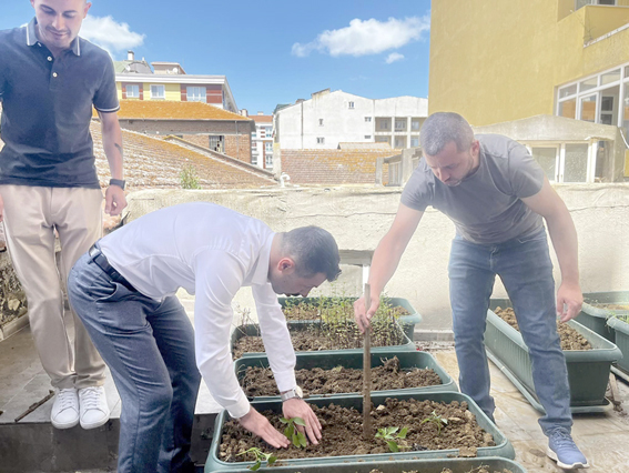 Silivri Ülkü Ocakları, sebze dikimine başladı