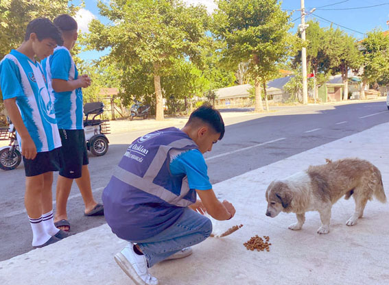 Silivri Ülkü Ocakları’ndan sokak hayvanlarına destek