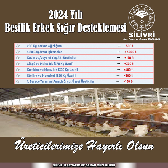 2024 Yılı Besilik Erkek Sığır desteklemeleri