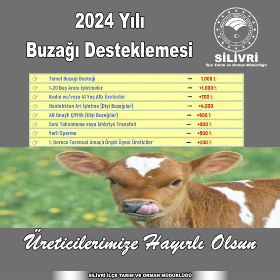 2024 Yılı Buzağı Desteklemeleri