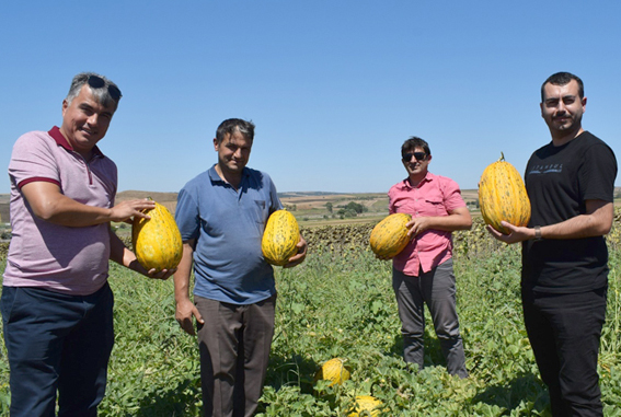 Çiftçilerle verimlilik üzerine görüşmeler yapıldı