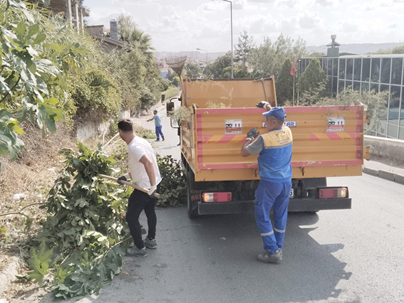 Silivri Belediyesi yeşil alanlarda bakım ve onarımları sürdürüyor